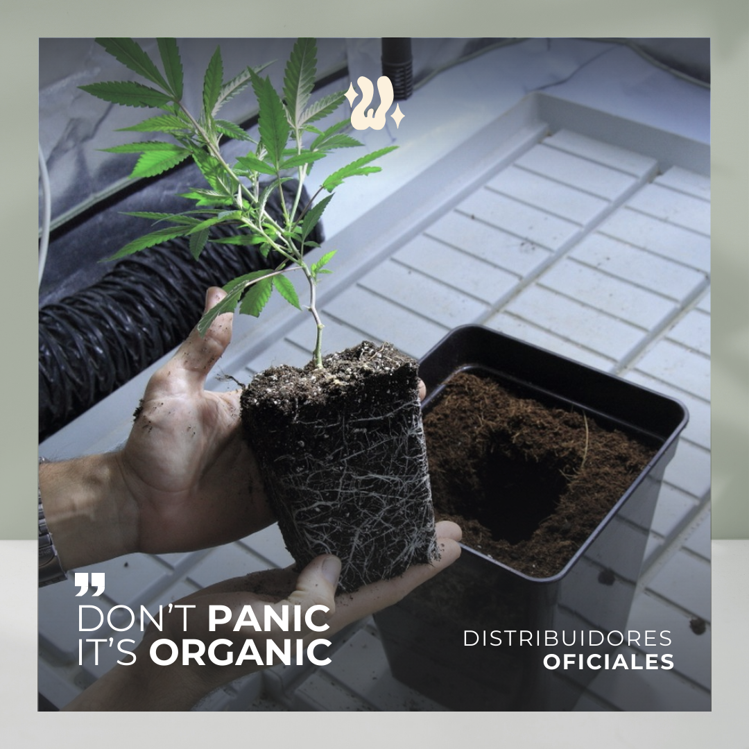 Sustrato Wanawid, producto de marca propia para cultivo