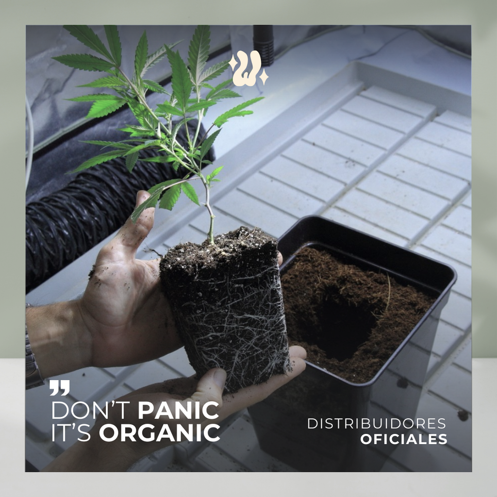 Sustrato Wanawid, producto de marca propia para cultivo